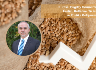 Küresel Buğday Görünümü: Üretim, Kullanım, Ticaret ve Politika Gelişmeleri