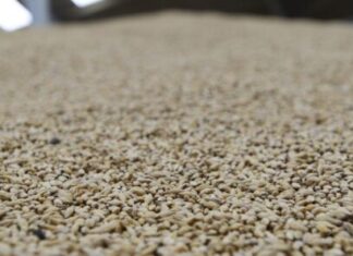 Frontier Agriculture, Aberdeen Tahıl Tesisini Satın Aldı